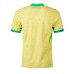 Echipament fotbal Brazilia Tricou Acasa Copa America 2024 maneca scurta